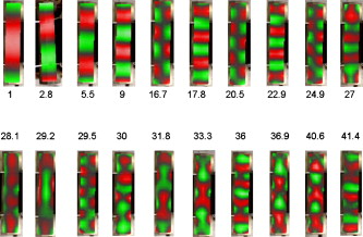 FIG. 2. Prominent modes of the lowest bar of a jegogan, along with the ratios of their frequency to the fundamental frequency. Of the 19 prominent overtones, only 3 have ratios to the fundamental less than 15. The complex shapes of the highest modes are unique and do not appear in the other 26 bars examined with SLDV. Note that the lower torsional modes do not appear in this bar, but they do in other low bars in the ensemble. 