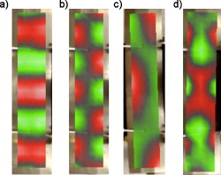 FIG. 3. (a) A typical transverse mode as predicted by the theory of rectangular bars. (b) A typical high-frequency torsional mode as predicted by the theory of rectangular bars. (c) An unusual mode shape not predicted by the theory of rectangular bars. This shape appears in 9 of the 27 SLDV-measured bars, with a typical frequency ratio to the fundamental around 4.5. Although it resembles the second torsional mode shown in Fig. 4, it is distinct and has no nodal line down the center of the bar. It often appears in the same bar as the second torsional mode but at a higher or lower frequency. (d) An unusual mode shape that occurs once in the ensemble and nowhere else. It is the 15th prominent transverse mode of a jegogan (shown previously in Fig. 2). 