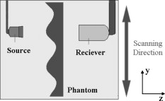 Locating an acoustic point source scattered by a skull phantom via time ...