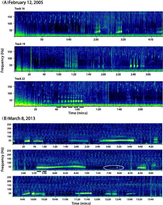 Fig. 1. (Color online) Spectrographs of two examples of low frequency (ca. 40 Hz) pulse trains recorded off West Maui, Hawaii. Example A, 12 February 2005, shows three of nine tracks of recordings made during an encounter with an active group of eight adult humpbacks. Example B, 8 March 2013, is a continuous recording made with a humpback male-female pair circling and passing under the boat. The oval indicates a low frequency (26–27 Hz) sound different from the pulses. The dashed black lines indicate the regions enlarged in Fig. 3. [Spectrograph: Hann window, discrete Fourier transform/fast Fourier transform (DFT/FFT) 32 768, 50% overlap.]