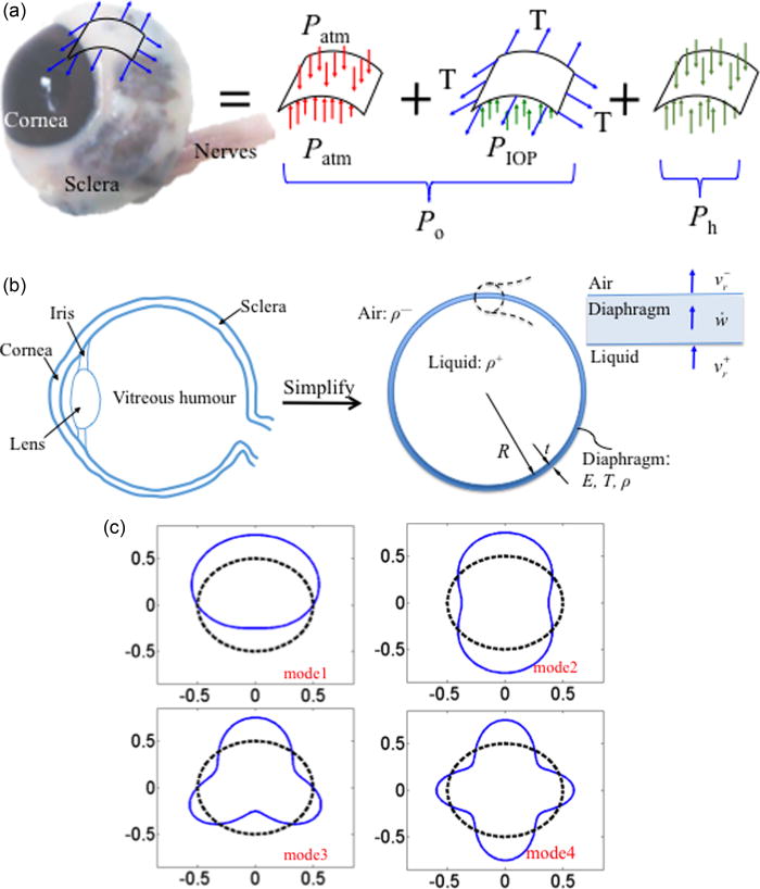 Resonance frequency of fluid-filled and prestressed spherical shell—A ...