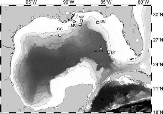 FIG. 1. HARP locations (see Table I) shown as squares with site names. NOAA NDBC weather buoy station 42003 shown as triangle northwest of site DT. GOM bathymetric map with contours at 100, 1000, 2000, and 3000 m depth.