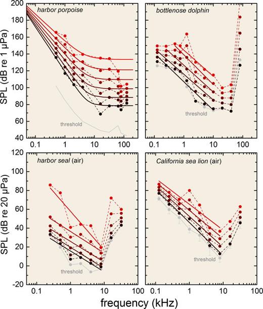 FIG. 10. (Color online) Marine mammal equal latency contours for a harbor porpoise (Wensveen et al., 2014), bottlenose dolphin (Mulsow et al., 2015), harbor seal (Reichmuth, 2013), and California sea lions (Mulsow et al., 2015). The experimental data are based on measures of reaction time to tones of varying frequency and level, with lines connecting similar reaction times across different frequencies. The audiogram for a representative individual of each species (shown in gray) is provided for reference.