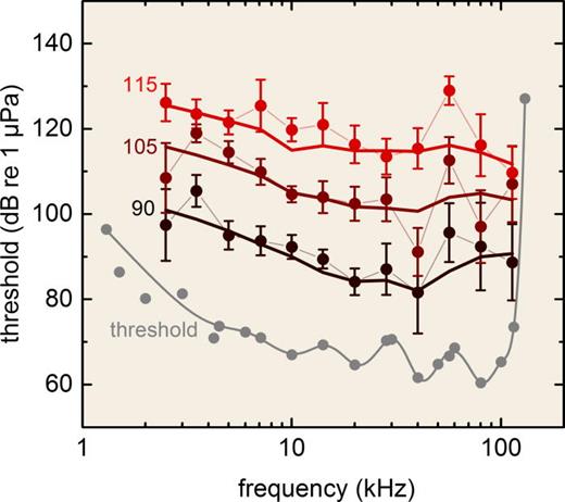 FIG. 9. (Color online) Equal loudness contours derived for a bottlenose dolphin (Finneran and Schlundt, 2011). The loudness level of each contour was defined by the SPL at 10 kHz, in dB re 1 μPa (common SPL provided next to each series). The graph demonstrates, for example, that a ∼90 dB SPL tone at 10 kHz had the same perceptual loudness as a 100 dB SPL tone at 2.5 kHz and an 85 dB SPL tone at 40 kHz. Note that at high stimulus amplitudes, perceptual loudness is less influenced by frequency. The dolphin's audiogram (shown in gray) is provided for reference.
