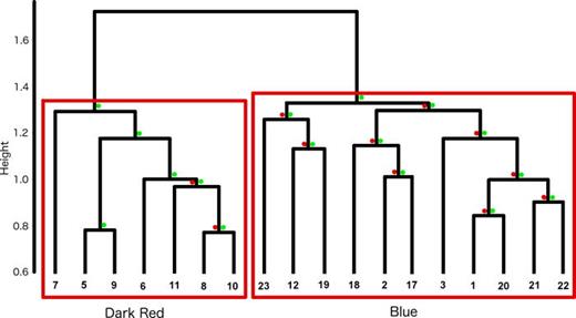 FIG. 6. (Color online) Dendrogram of bootstrapped (1000) LSI average-linkage hierarchical clustered strings of phrases (i.e., a song) from all recordings. Terminal node numbers refer to recording number. The two clusters correspond to the two different song types, Dark Red and Blue. Where multi-scale AU [· on left side of branch (red color online)] p-values and normal BP [· on right side of branch (green color online)] p-values did not meet significance (p &lt; 0.95, p &lt; 0.7, respectively), these are displayed. 