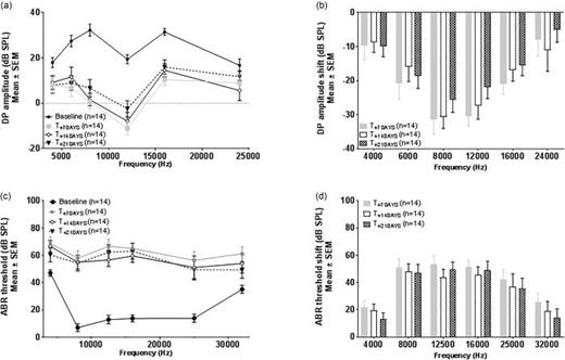 Distortion Product Otoacoustic Emission (DPOAE) amplitude (3 A) and Auditory Brainstem Response (ABR) threshold (3 C) were measured bilaterally in seven young adult Hartley albino guinea pigs before and 7, 14, and 21 days after noise exposure; changes in DPOAE amplitude (3B) and ABR threshold (3 D) were calculated as shift from baseline at each post-noise time. Noise exposure was 115 dB SPL for a 1/3 octave noise band centered at 8 kHz; exposures were 45 min in duration and applied under anesthesia. All data are mean ± standard error of the mean (SEM). This noise exposure induces a rapid decrease of DPOAE amplitudes [(a) and (b)] and increase of ABR thresholds [(c) and (d)], which are still present 21 days post-noise, with the greatest noise injury at frequencies at and within one octave above the exposure frequency of 8 kHz. (Unpublished data collected at CILcare.)