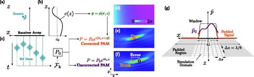 Fig. 1. (Color online) Aberration correction for PAM. (a) Emissions from an acoustic source are recorded with a receiver array at the bottom of the half-space. (b) The medium has a sound speed that varies in the z-direction. (c) The time series data collected by the array elements are transformed into the spatial frequency domain, to obtain the ASA initial condition P0. (d) The varying sound speed c(z) is used to compute a spatially dependent phase correction ϕ. (e) Use of the phase-corrected ASA [Eq. (10)] enables improved localization of the source compared to (f) conventional ASA beamforming [Eq. (3)]. (g) For all computations, the measured signals were windowed and zero-padded.