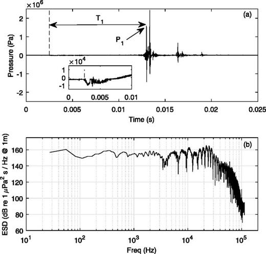 Fig. 2. (a) Example time series produced by RIUSS at a depth of approximately 100 m. The inset in the time series plot displays the acoustic signal of the initial rupturing of the disk, for which the amplitude is two orders of magnitude below that of the peak pressure for this event. T1 is shown as the period between the rupturing of the disk and the first pressure pulse, P1. [the same feature was labeled α in Fig. 1(b)]. (b) ESD produced by the example event shown above. The roll-off of these spectral levels above 30 kHz is due to the known but uncalibrated roll-off of the hydrophone and recording system utilized for these measurements.