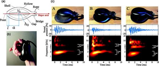 (Color online) Schematics and acoustic characteristics of the castanets. (a) Structure
            of a castanet. The shells collide with each other at the point. The shells have small
            gaps of typically approximately a few millimeters on their side, as indicated by h0 when the shells are in contact. (b) The castanet is
            held on the palm of a player by wrapping a rope around the thumb and tapping a shell
            using other fingers. (c) The three instruments used in the experiments. (Top) The
            photographs of the instruments, (middle) temporal waveforms measured using a microphone,
            and (bottom) scalograms calculated using the waveforms. The colors are on a linear
            scale. The frequency chirps appear between 1000 and 2000 Hz are referred to as the first
            mode. The frequency components appear at approximately 5000 Hz for castanets A and B and
            at 4000 Hz for castanet C are referred to as the second mode.