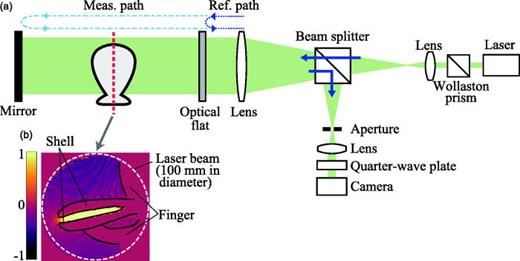 (Color online) (a) Measurement system used to visualize sound fields. The system
              comprised of the Fizeau interferometer and a high-speed polarization camera. The
              optical phase modulation caused by a sound field along the measurement path (between
              the optical flat and mirror) is captured. The laser beam is expanded to 100 mm in
              diameter. (b) Example of an obtained image. The color of each pixel corresponds to the
              optical phase. The instruments and fingers of the player can be recognized as shadows
              in the image because they block the laser beam.
