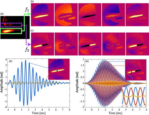(Color online) Results of the frequency analysis of the visualizations. (a) Scalogram
              calculated using the microphone data [the same scalogram depicted in Fig. 1(c)]. (b) and (c): the sound-field images that
              correspond to the first and second modes, respectively. Each mode was extracted by
              applying a time-directional bandpass filter to each pixel of the time-sequential
              images shown in Fig. 3. Two different acoustic
              modes between the shells were visualized. (d) and (e): the temporal waveforms
              extracted from (b) and (c), respectively. The insets represent the position of the
              pixels used to extract the waveforms.
