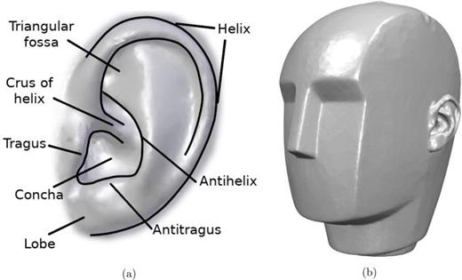 Sensitivity analysis of pinna morphology on head-related transfer ...