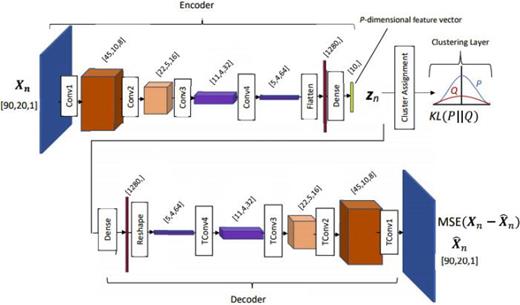 FIG. 1. (Color online) Architecture of the deep embedded encoding (DEC) convolutional model. Convolutional filters were sized 3 × 3 and used the ReLU activation function.
