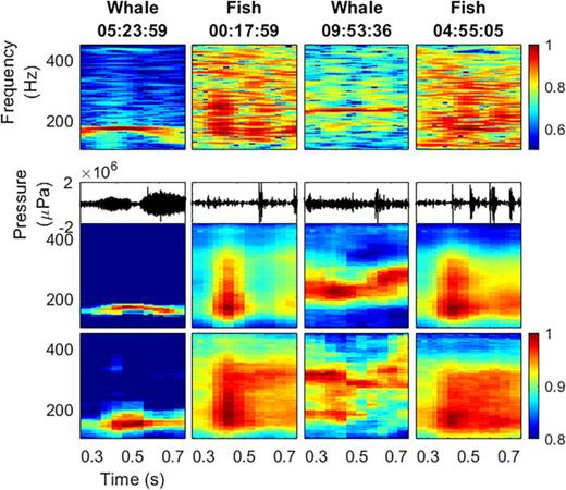 FIG. 11. (Color online) Experimentally detected coral reef bioacoustic signals successfully classified using DEC. From top to bottom rows: input spectrograms, recorded timeseries, initial DEC reconstruction, and DEC reconstruction after adding clustering loss.