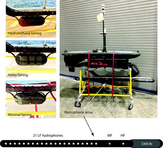 FIG. 2. Configuration of DMON instruments used in this study. Fairings on the left hold open-cell foam that, in turn, hold DMON electronics and LF, MF, and HF hydrophones encased in an oil-filled urethane housing (shown in Fig. 1). The photograph on the right shows the hydrophone array affixed to a wave glider sub, and the diagram at the bottom shows the 21 LF, 1 MF, and 1 HF hydrophones installed in an oil-filled polyurethane tube.