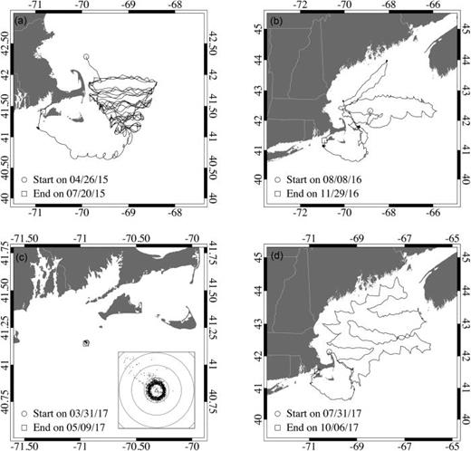 FIG. 3. Tracks of wave gliders for each of the long-duration deployments (a) in the Great South Channel (southwestern Gulf of Maine) during 04/26–07/20/15, (b) in the Gulf of Maine during 8/08–11/29/16, (c) near Nomans Land Island, MA during 03/31–05/09/17, and (d) in the Gulf of Maine during 07/31–10/06/17. Inset in (c) shows wave glider locations (small dots) in proximity to a DMON-equipped moored buoy (triangle); concentric circles are 0.5 km apart.