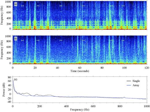 FIG. 7. Spectrograms of simultaneous DMON recordings from (a) a single hydrophone and (b) a 21-element hydrophone array collected during the wave glider deployment on 07/31–10/06/17 (photograph of configuration is in the supplementary Fig. S1d1). (c) Average spectra over the 120-s period for the bare single hydrophone (black) and the 21-element hydrophone array (blue). Neither the single hydrophone nor the array were calibrated, so the array spectra were adjusted to match the single hydrophone spectra in the frequency band of a common local source: the rudder noise (833 ± 20 Hz).