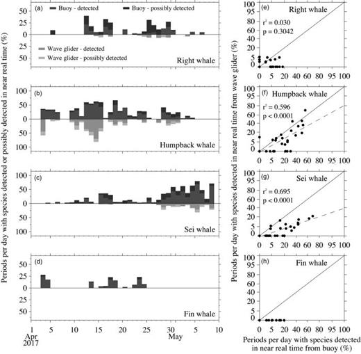 FIG. 9. Comparison of near real-time whale occurrence estimates from the collocated DMON-equipped moored buoy and a DMON-equipped wave glider for (a) right, (b) humpback, (c) sei, and (d) fin whales. Detections and possible detections are shown for both platforms. Scatterplots of daily detection rates for (e) right, (f) humpback, (g) sei, and (h) fin whales. Coefficients of determination (r2) and associated p-values are shown as well as a 1:1 line (solid) and simple linear regression line (dashed).
