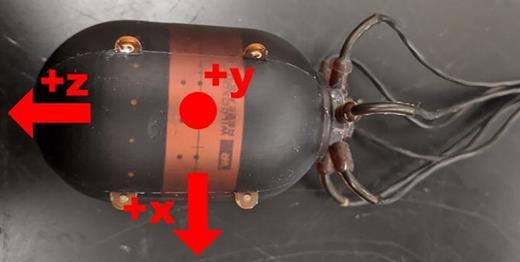 FIG. 1. (Color online) Underwater AVS accelerometer orientation.