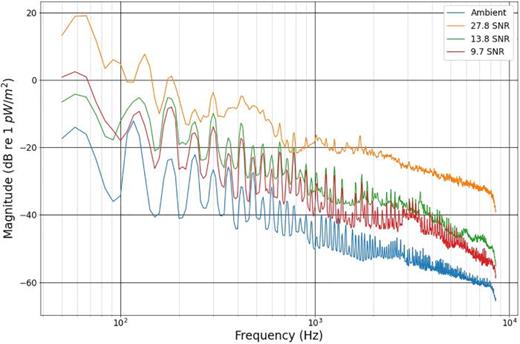 FIG. 7. (Color online) Comparison of ambient background and acoustic signal source at varying SNRs.