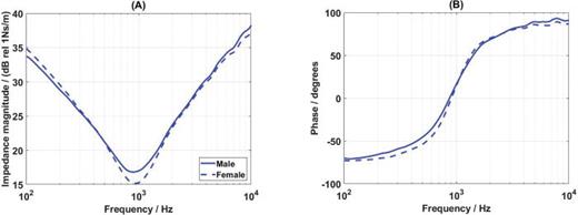 FIG. 10. (Color online) The mean condyle mechanical impedance magnitude (A) and phase (B) of the males and the females.