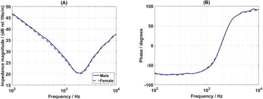 FIG. 7. (Color online) The mean mastoid mechanical impedance magnitude (A) and phase (B) of the males and the females.