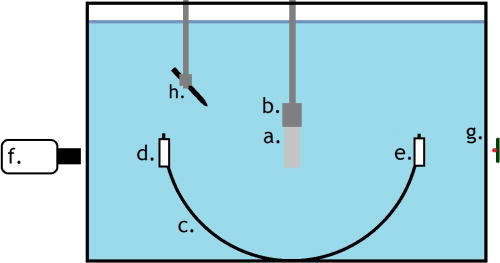 (Color online) Experimental setup, showing (a) hydrogel sample, (b) three-dimensional (3D) motor mount, (c) histotripsy array, [(d), (e)] imaging windows, (f) High-speed camera, (g) flash source, and (h) HP.
