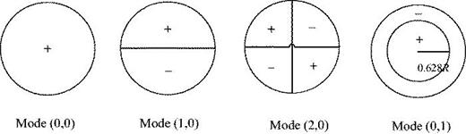 An illustration of the behavior of the first four mode shapes in the cylindrical pipe.