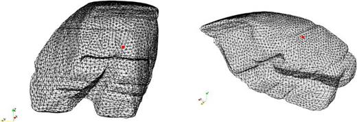 (Color online) The field point position (red) at the driver's ear from a front view (left) and a lateral perspective (right). For the sake of conciseness, the field point position is only depicted for the HF model.