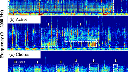 Sound properties affect measurement of vocal consistency in birdsong ...
