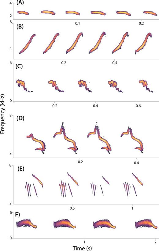 (Color online) Spectrograms showing different types of bird sounds included in our multi-species analysis. From top to bottom: Acrocephalus paludicola (A), Setophaga pinus (B), Acrocephalus atyphus (C), Aimophila notosticta (D), Anthus spinoletta (E), Locustella montis (F).