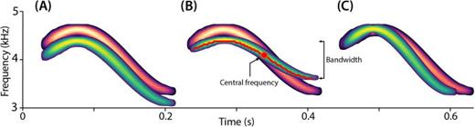 (Color online) Spectrograms of a synthetic sound built as a reference (red) and three inexact variants (green), one for the frequency treatment (A), one for the bandwidth treatment (B), and one for the duration treatment (C). Maximum, minimum, and central frequency are indicated in (B), as measured in the fundamental frequency (red line).