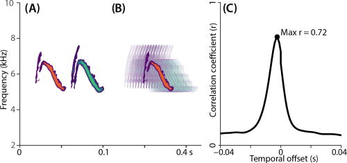 (Color online) Example of SPCC algorithm used to compare two notes of the trill of a blue tit (Cyanistes caeruleus). The two notes to be compared (A) are overlaid at different time offsets during the SPCC (B), producing multiple correlations coefficients, one at each of these alignments (C). The maximum correlation is taken as the SPCC score (C).