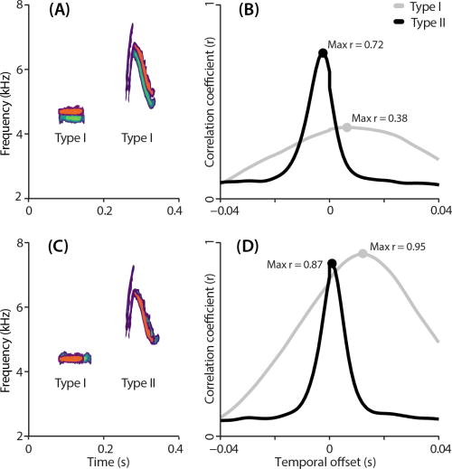 (Color online) Visual representation of the impact of bandwidth on SPCC sensitivity to acoustic discrepancies, using natural notes recorded from blue tit song. In green, two notes types arbitrarily used as a reference. Another rendition of each note type is overlaid using red colors. (A) The two note types (green) and variants (red) that differed mainly in frequency, with the associated cross correlation curve in (B). The broadband note (type II) produces a high SPCC score by shifting the red note earlier in time. This is shown by the peak in correlation before zero in the x axis in the cross correlation curve for note type II in (B). Hence, for the same difference in frequency, the SPCC score is lower in narrowband notes in gray (type I), compared to broadband notes in black (type II). (C) Two pairs of notes that differ in duration, but not in frequency, with the respective SPCC curves on (D). In this case, the red note in the narrowband note (type I) shows a high overlap, regardless of the difference in duration, whereas lengthening a broadband note (type II) will change the shape of the note and therefore reduce the SPCC score. In this case, (D) shows that for the same difference in duration, narrowband notes in gray (type I) render a slightly higher SPCC score than broadband notes in black (type II).