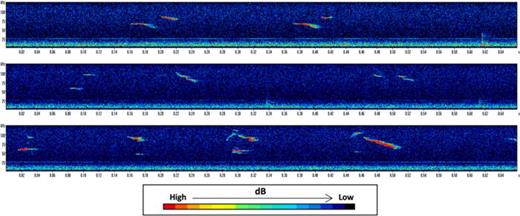 Ultrasonic Spectrogram A review of ultrasonic vocalizations in mice and how they relate to ...