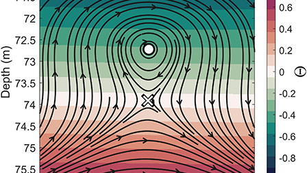 Active intensity vortex and stagnation point singularities in a shallow ...