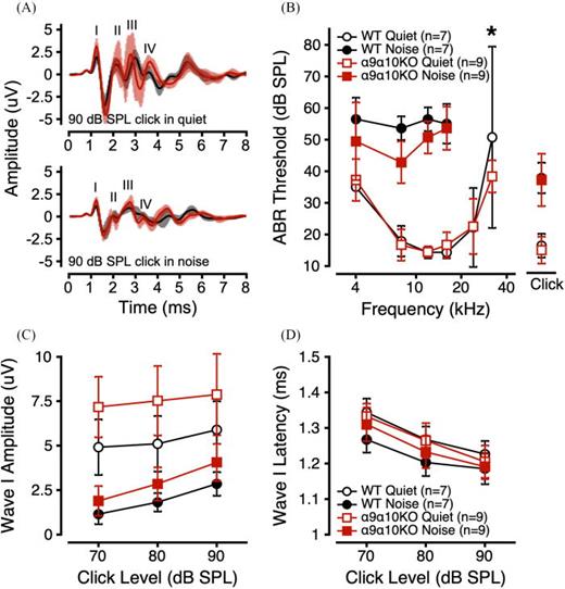 (Color online) ABRs in quiet and noise for α9α10KO and WT mice. (A) Mean (±1 standard deviation). ABR waveforms in response to a 90 dB SPL click in quiet (top) and noise (bottom) for α9α10KO (trace in foreground) and WT mice (trace in background). ABR thresholds as a function of stimulus frequency (B), Wave I amplitudes to suprathreshold clicks (C), and Wave I latencies to suprathreshold clicks (D) in quiet (open symbols) and noise (filled symbols) for α9α10KO (squares) and WT mice (circles). Error bars depict ±1 standard deviation from the mean. *indicates a statistically significant difference across genotypes (p-value <0.05).