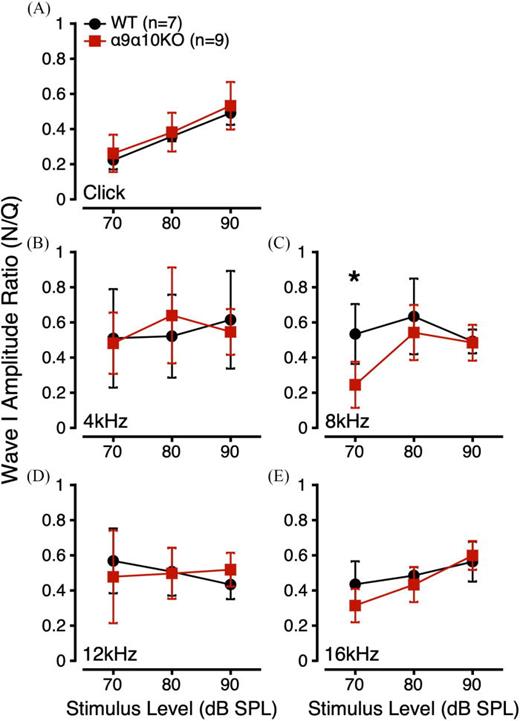(Color online) ABR Wave I amplitude ratios (AmplitudeNoise/AmplitudeQuiet) to suprathreshold clicks (A) and tone bursts (B: 4 kHz; C: 8 kHz; D: 12 kHz; E: 16 kHz) for α9α10KO (squares) and WT mice (circles). *indicates a statistically significant difference across genotypes (p-value <0.05).