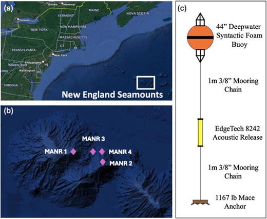 (Color online) Site of the experiment and receiver moorings. (a) General area of the experiment, (b) location of MANRs around the Atlantis II Seamounts, (c) MANR mooring configuration. The hydrophone is located on the top of the 44″ spherical syntactic foam float. Google Earth (Ref. 22) tools have been used to generate panels (a) and (b).
