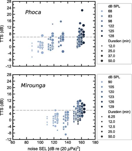 Magnitude of temporary threshold shift (TTS) as a function of noise sound exposure level (SEL) for the harbor seal (Phoca, 2.5 kHz, top) and the elephant seal (Mirounga, 1 kHz, bottom). Each data point corresponds to a single exposure. The sound pressure level (SPL) and duration of each exposure is represented by a point's hue and size, respectively (with various combinations leading to equal SEL exposures). The dashed gray line indicates the 6 dB level used to define TTS onset. There are 168 exposures shown for the harbor seal and 192 for the elephant seal.