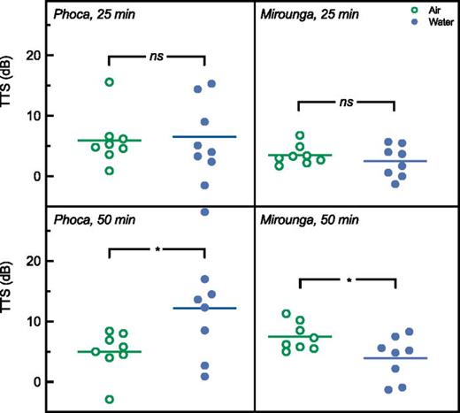 Comparison of temporary threshold shift (TTS) measured in comparable noise-exposure conditions in air and water. Magnitude of TTS generated in air (open circles, this study) and in water [closed circles (Kastak , 2005b)] is shown for the harbor seal (Phoca, 2.5 kHz, left panels) and the elephant seal (Mirounga, 1 kHz air, 2.5 kHz water, right panels). Each data point corresponds to a single exposure. TTS values resulting from 25-min exposures are shown in the upper panels. TTS values following 50-min exposures are shown in the lower panels. Noise exposure level was set 95 dB above hearing threshold in these cases. Brackets reveal significant (*) and non-significant (ns) differences between TTS measured across exposure conditions.