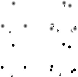 Continuity in symmetry and in distinguishability of states: The ...