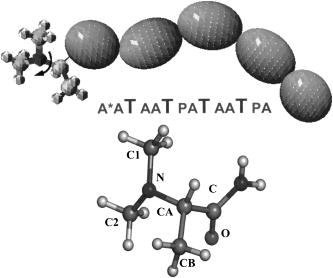 Characterization of the restricted rotation of the dimethyl groups in ...