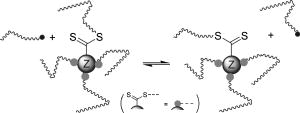 Shielding effects in polymer-polymer reactions. II. Reactions between ...
