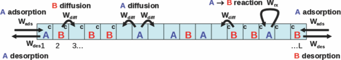 Catalytic conversion reactions mediated by single-file diffusion in ...