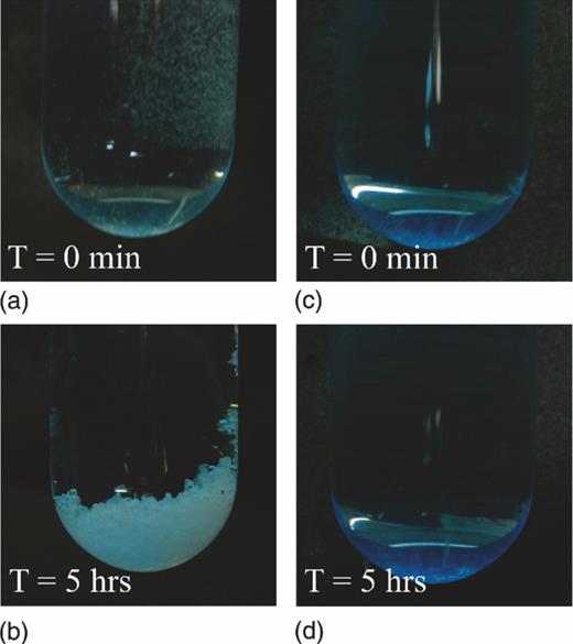 FIG. 3. Bubble-induced crystallization. Panels (a) and (b) show glycine crystal formation from a solution that is supersaturated with both glycine and argon and then shaken, whereas panels (c) and (d) show an absence of crystal formation when argon is absent.