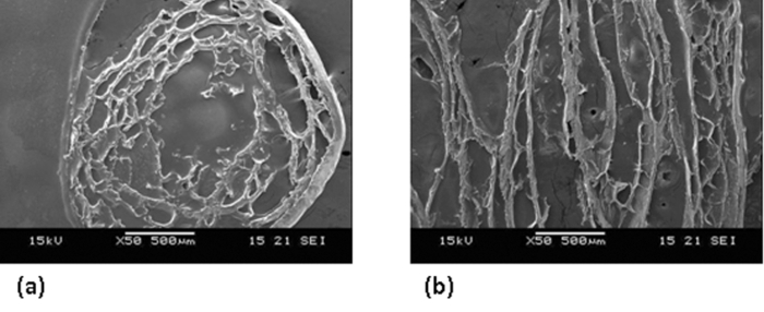 Agglomeration of magnetic nanoparticles | The Journal of Chemical ...