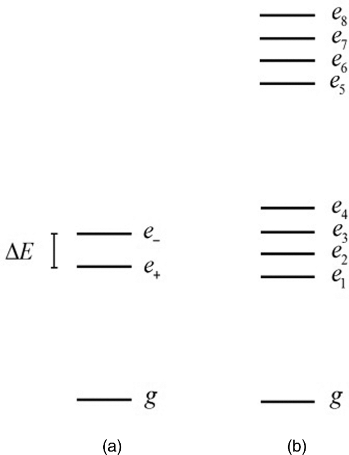 Zeeman shift of twodimensional optical signals of Mgporphyrin dimers