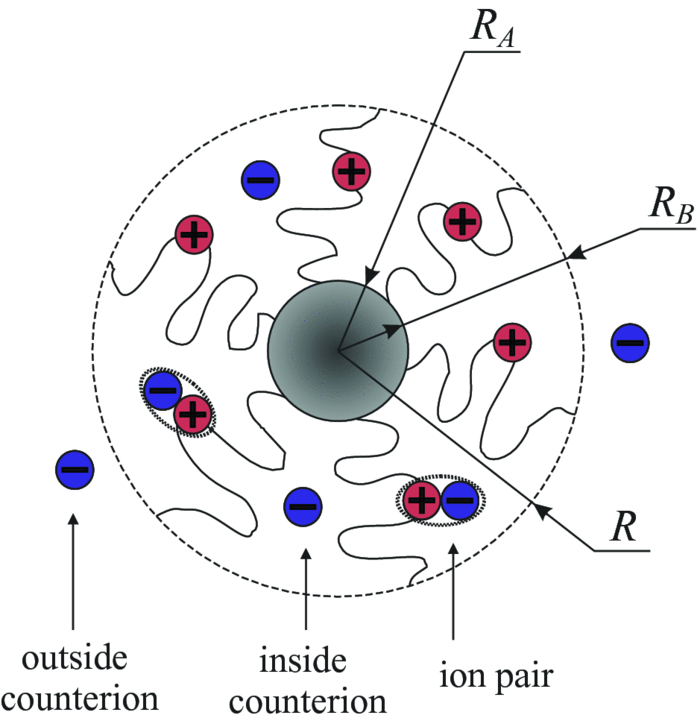 Effect of ion pair formation on the structure of polymer micelles with ...