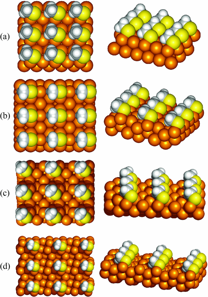 Thiolate adsorption on Au({\bm {hkl}}hkl) and equilibrium shape